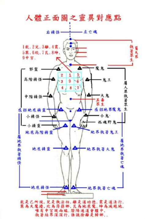 八卦 身體部位|八卦